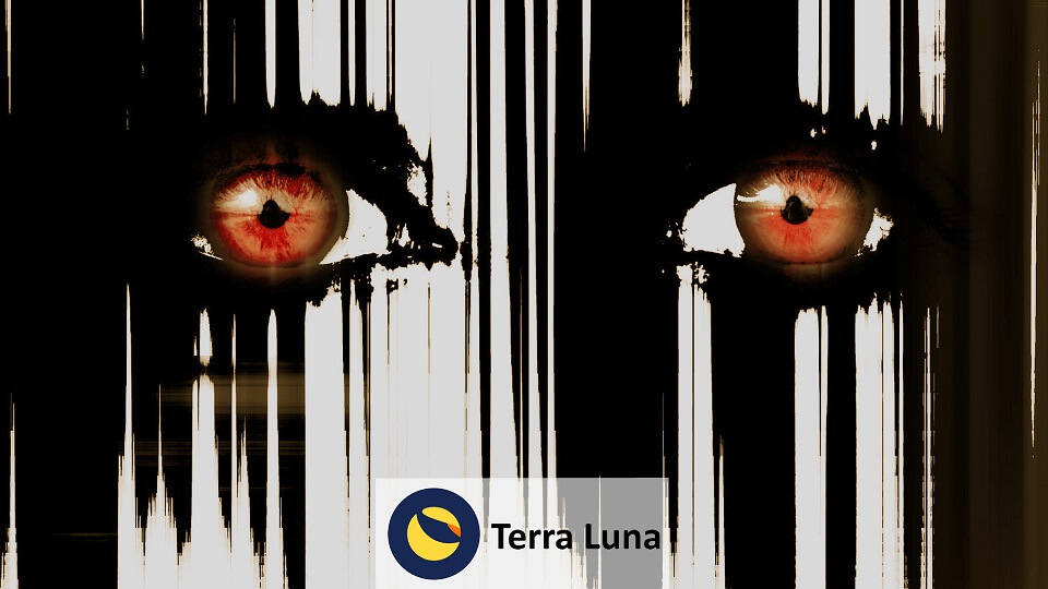 Luna e TerraUSD: suicidi e disperazione dopo il crollo della stablecoin