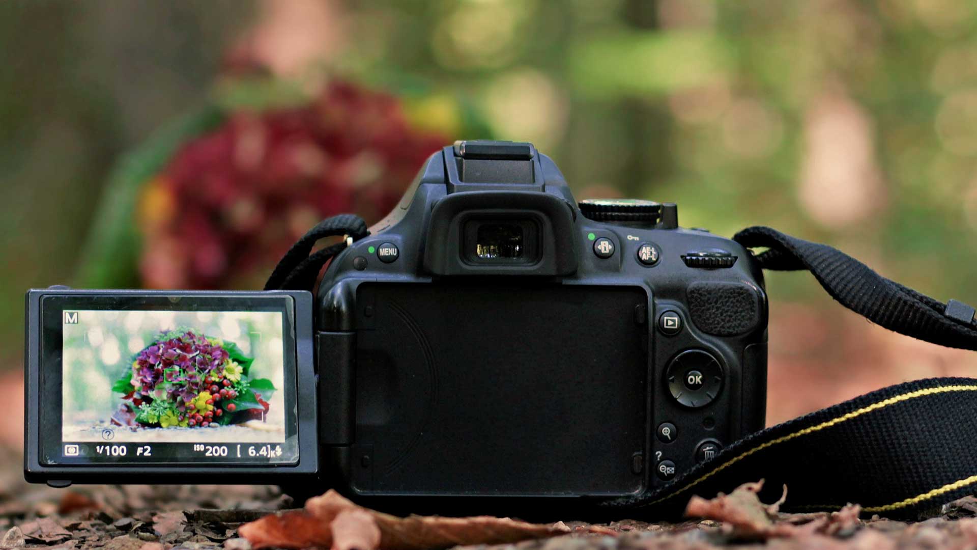 Reflex: cos'è e come funziona una fotocamera reflex digitale